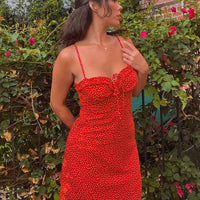 Love Birds Mini Dress Red