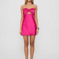 Shellie Mini Dress Hot Pink